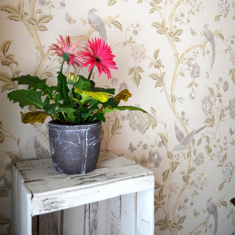 La Casa Del Duca Bed & Breakfast Milan Ruang foto